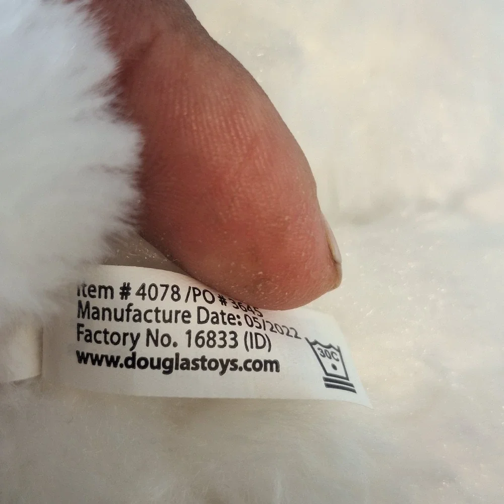 Douglas white dog