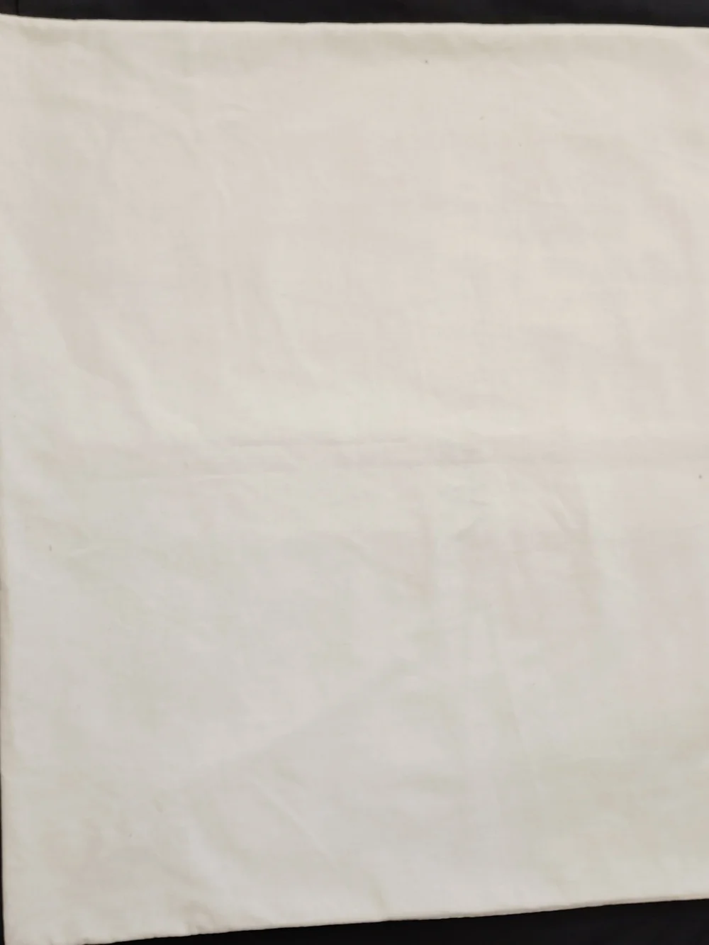 Zara bag centered
