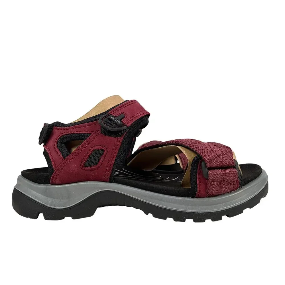 Ecco designed all