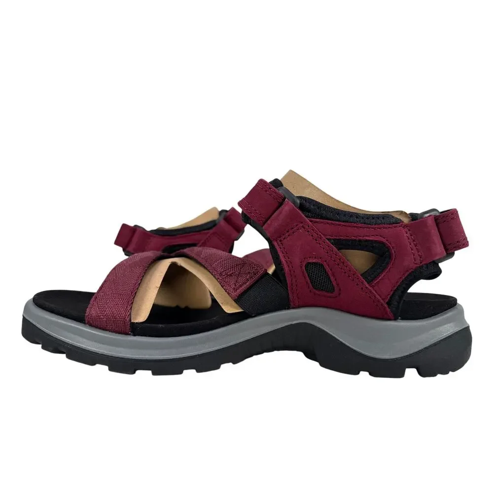 Ecco designed all