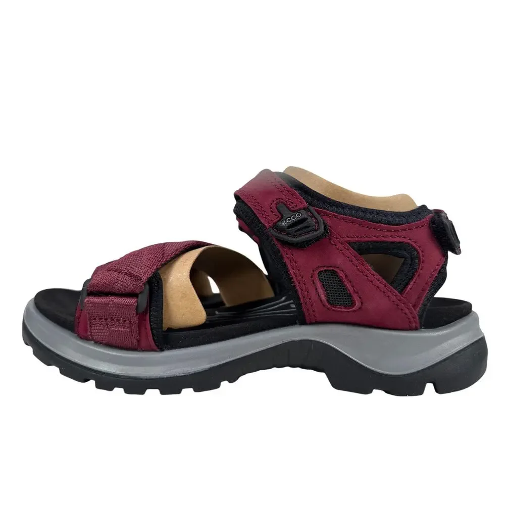 Ecco designed all
