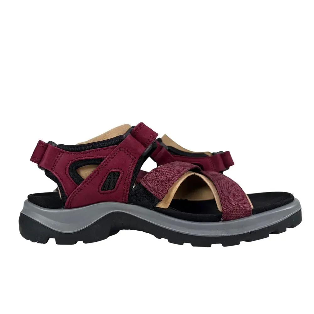 Ecco designed all