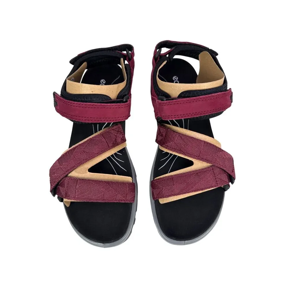 Ecco designed all