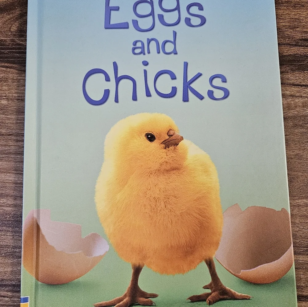 usborne questions leave