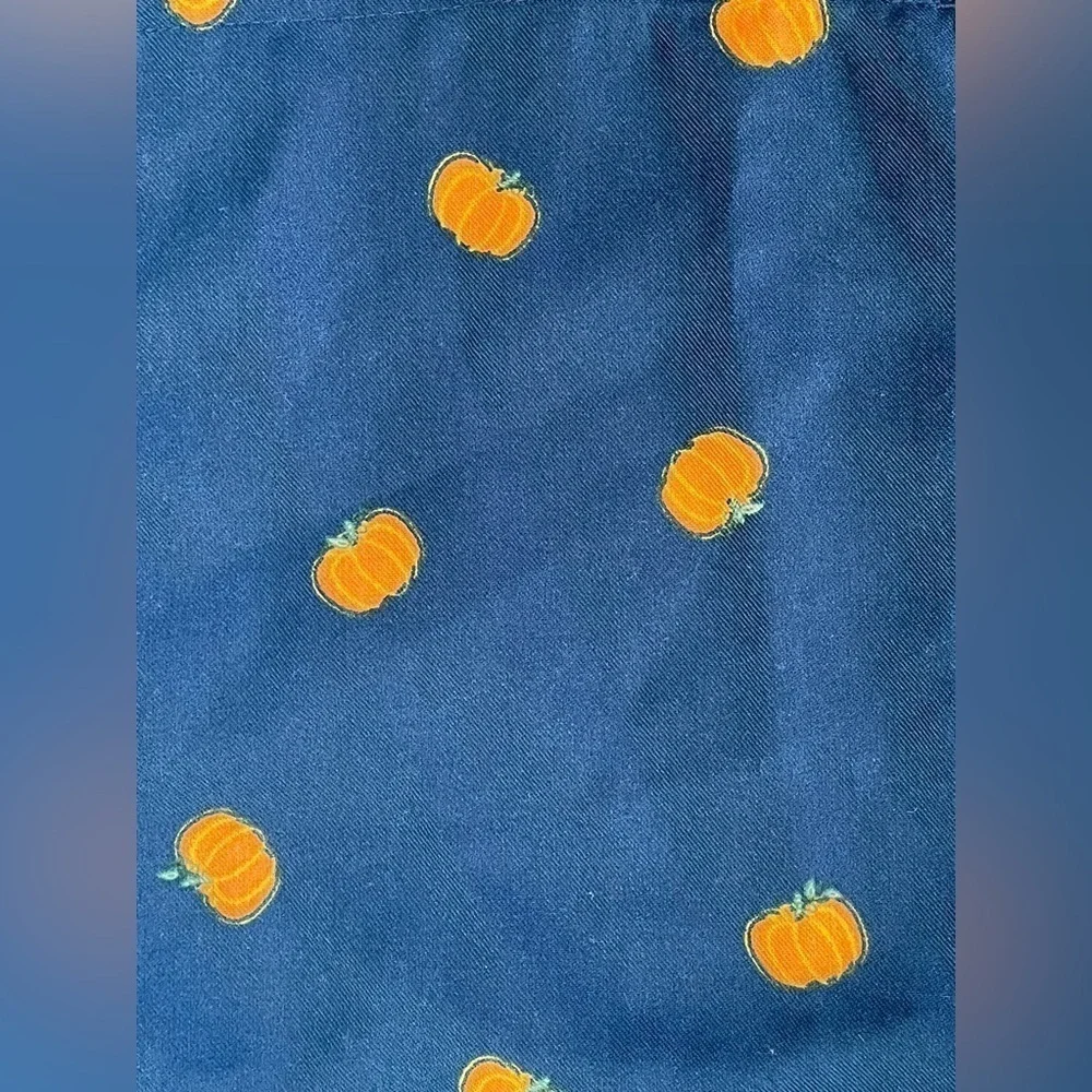 Crewcuts pumpkin pants