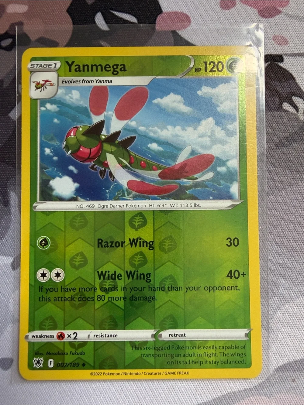 Pokemon yanma yanmega