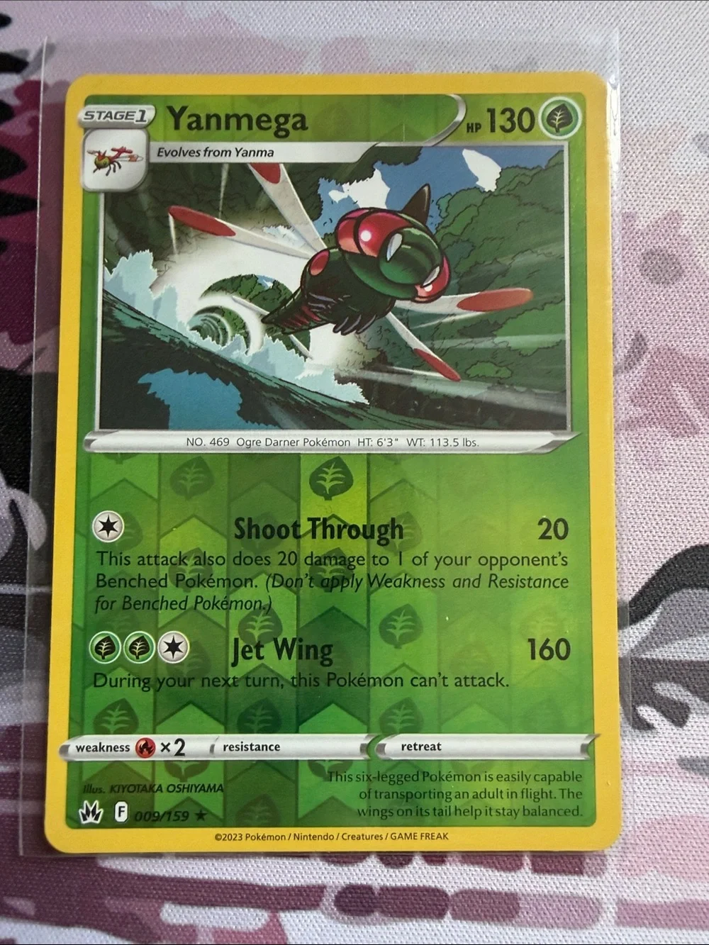 Pokemon yanma yanmega