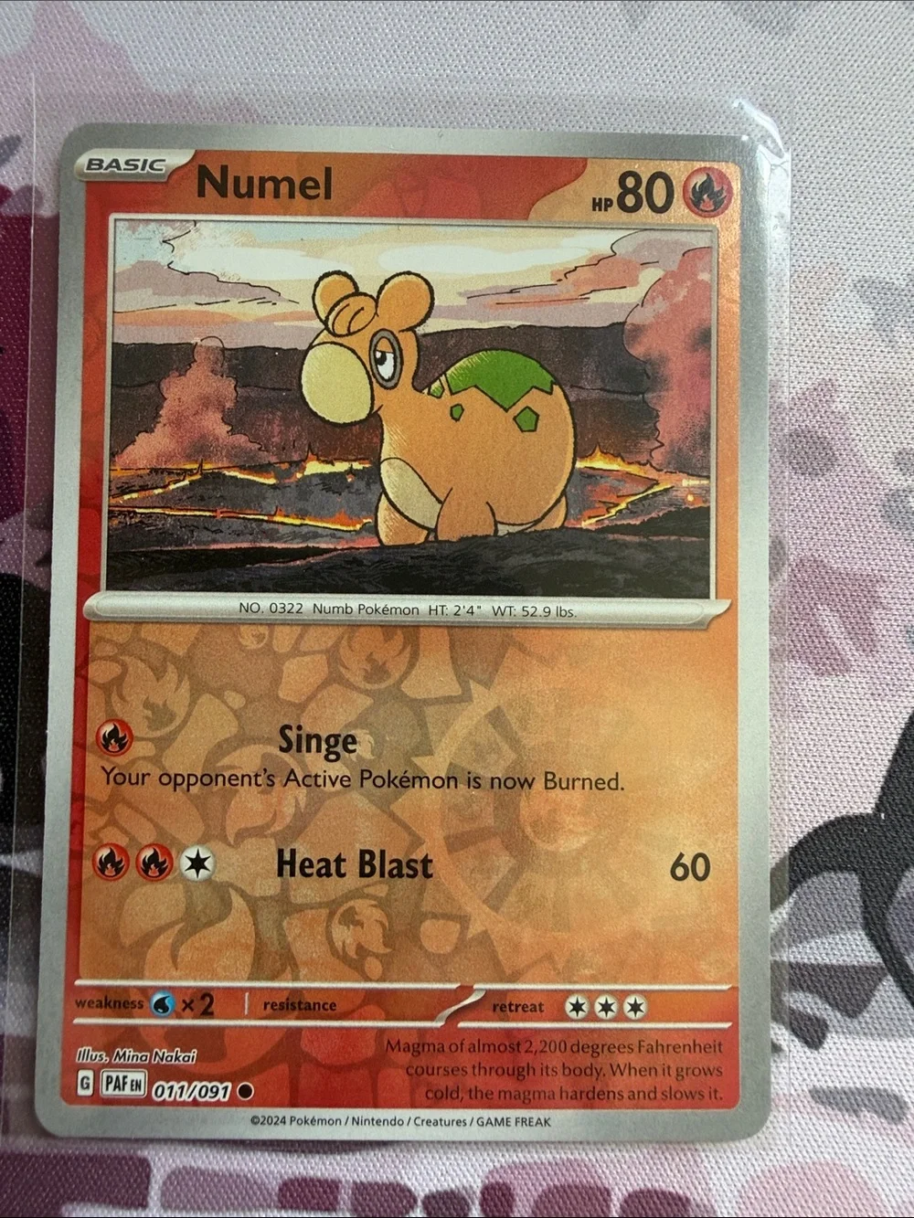 Pokemon numel camerupt