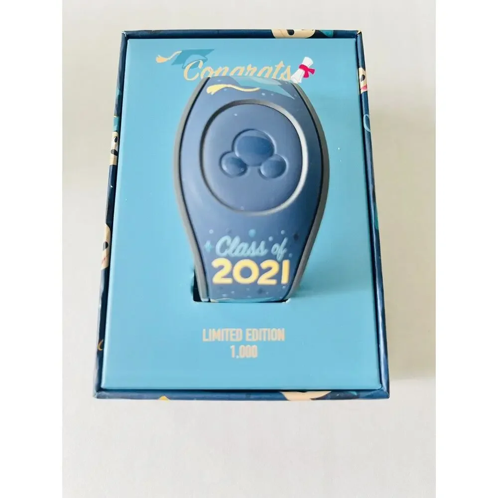 Disney parks class