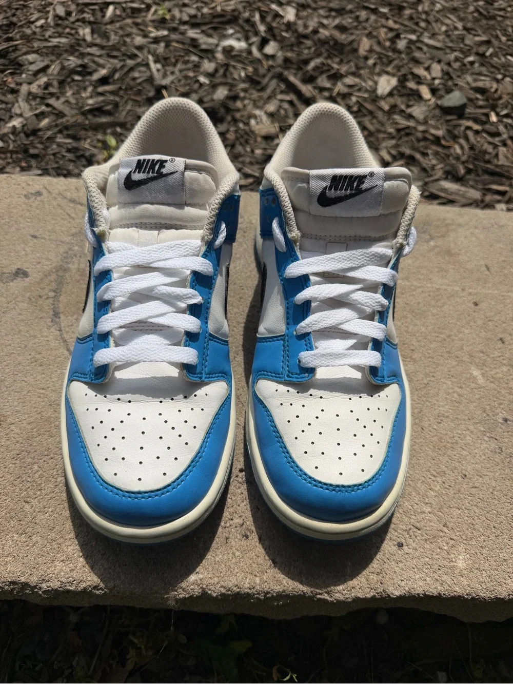 Nike dunk low