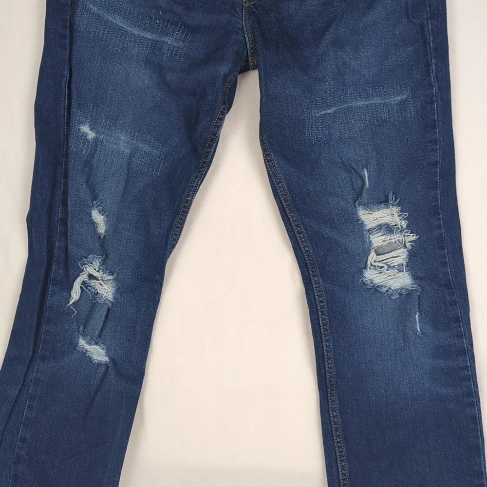 Levis levis 511