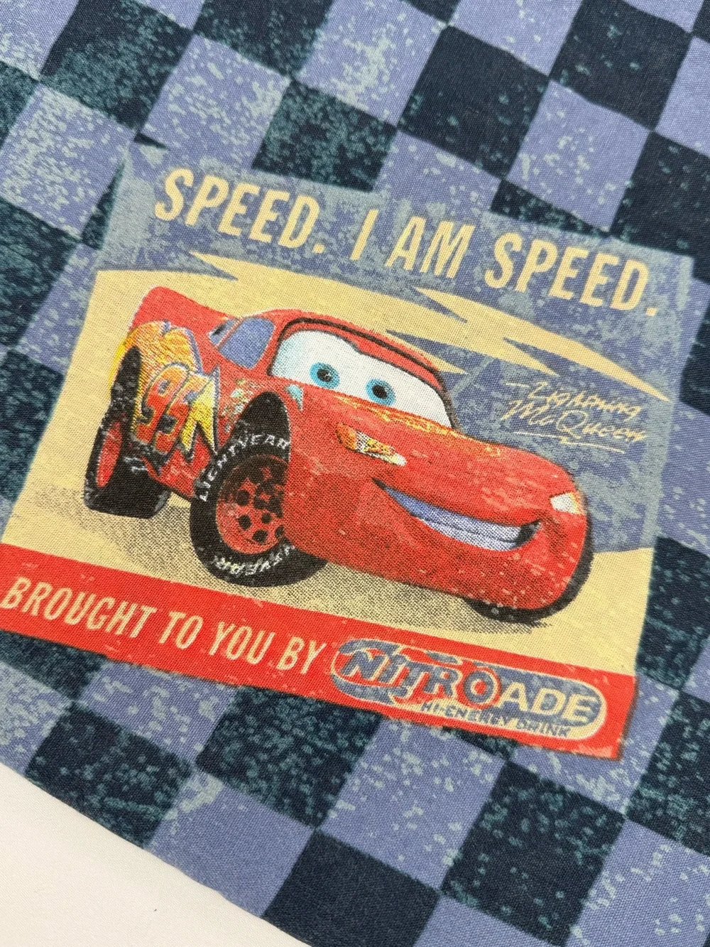 Vintage Disney Pixar quilting blue check