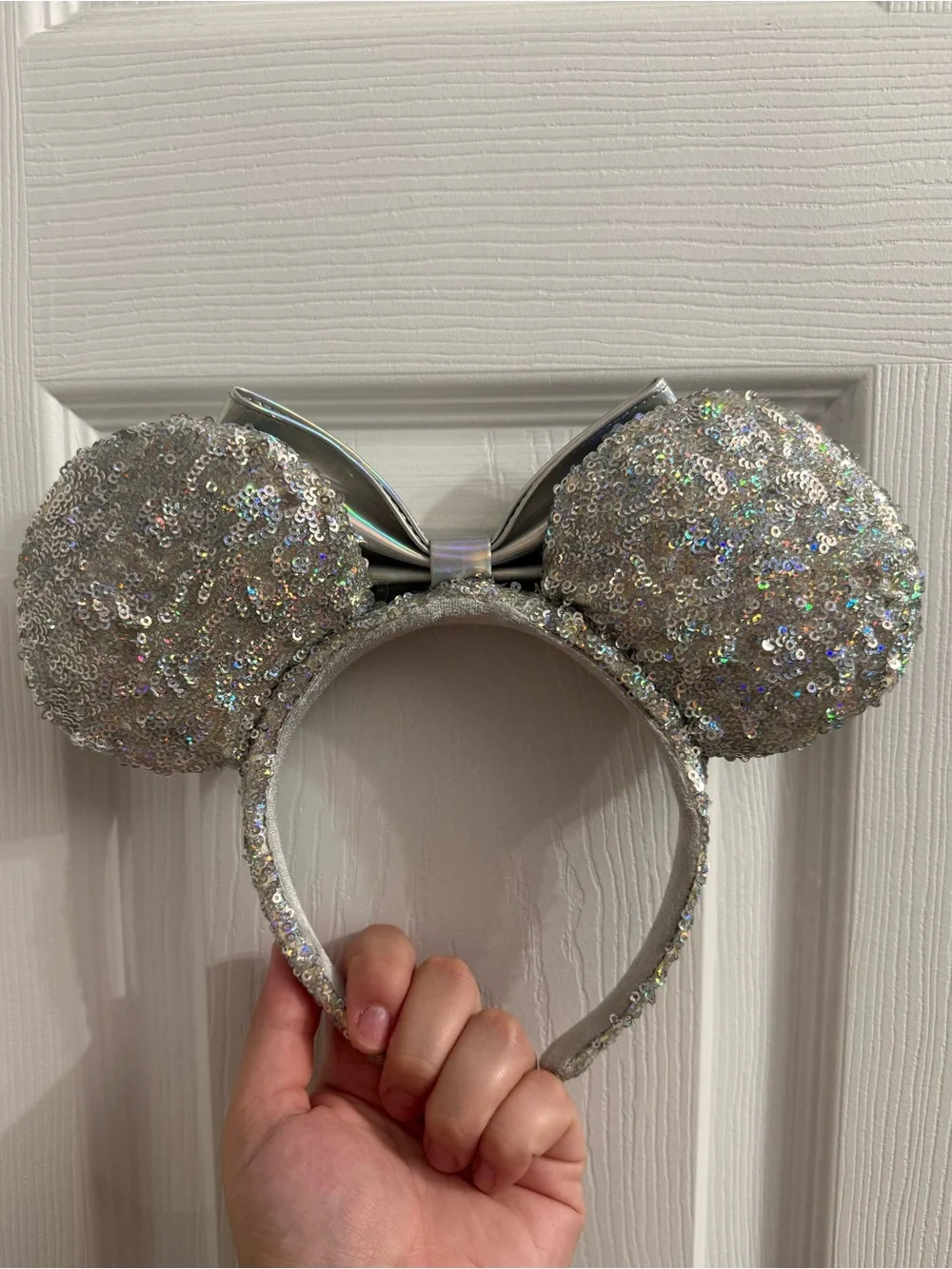 Disney World sparkling silver