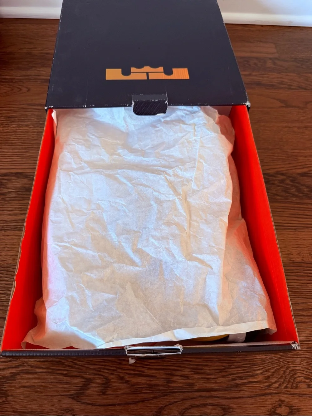 Nike lebron elite