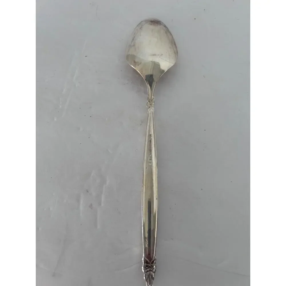 Garland 1847 Rogers Bros International Silver Serving Spoon & Cream Spoon