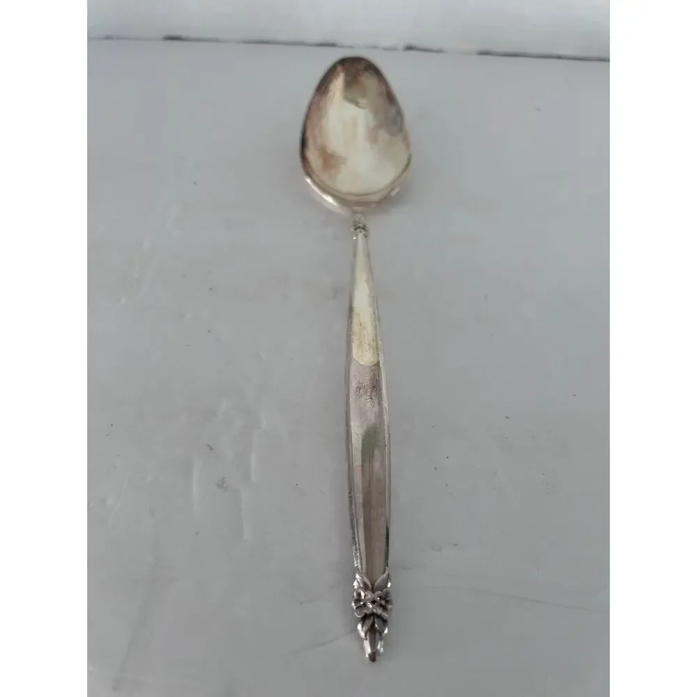 Garland 1847 Rogers Bros International Silver Serving Spoon & Cream Spoon