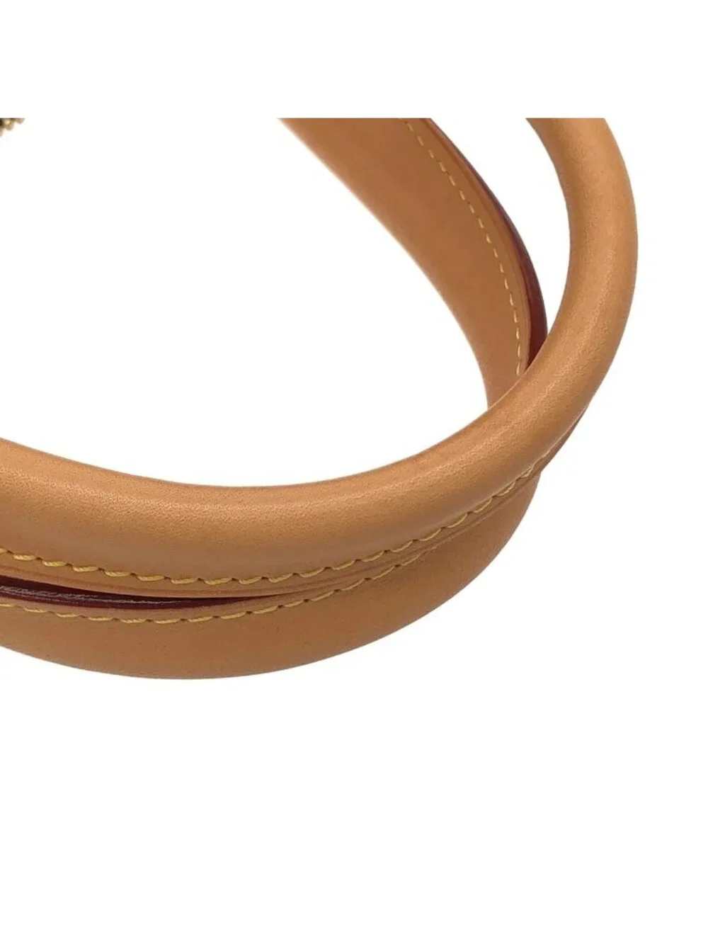 Louis Vuitton Monogram Rivoli MM