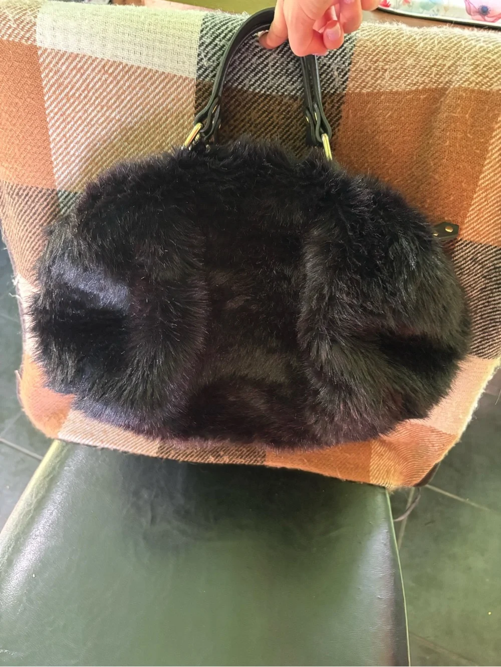 N/A aleonto aesthetic fur