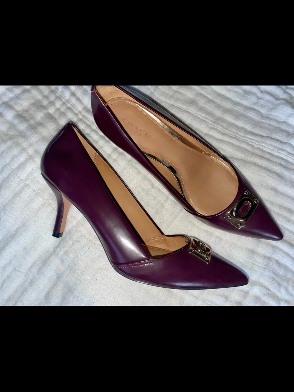 Coach classic pointed