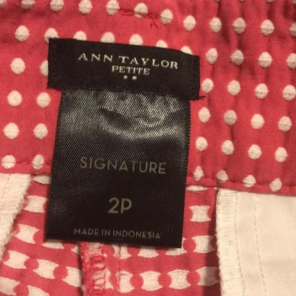 Ann Taylor petite size