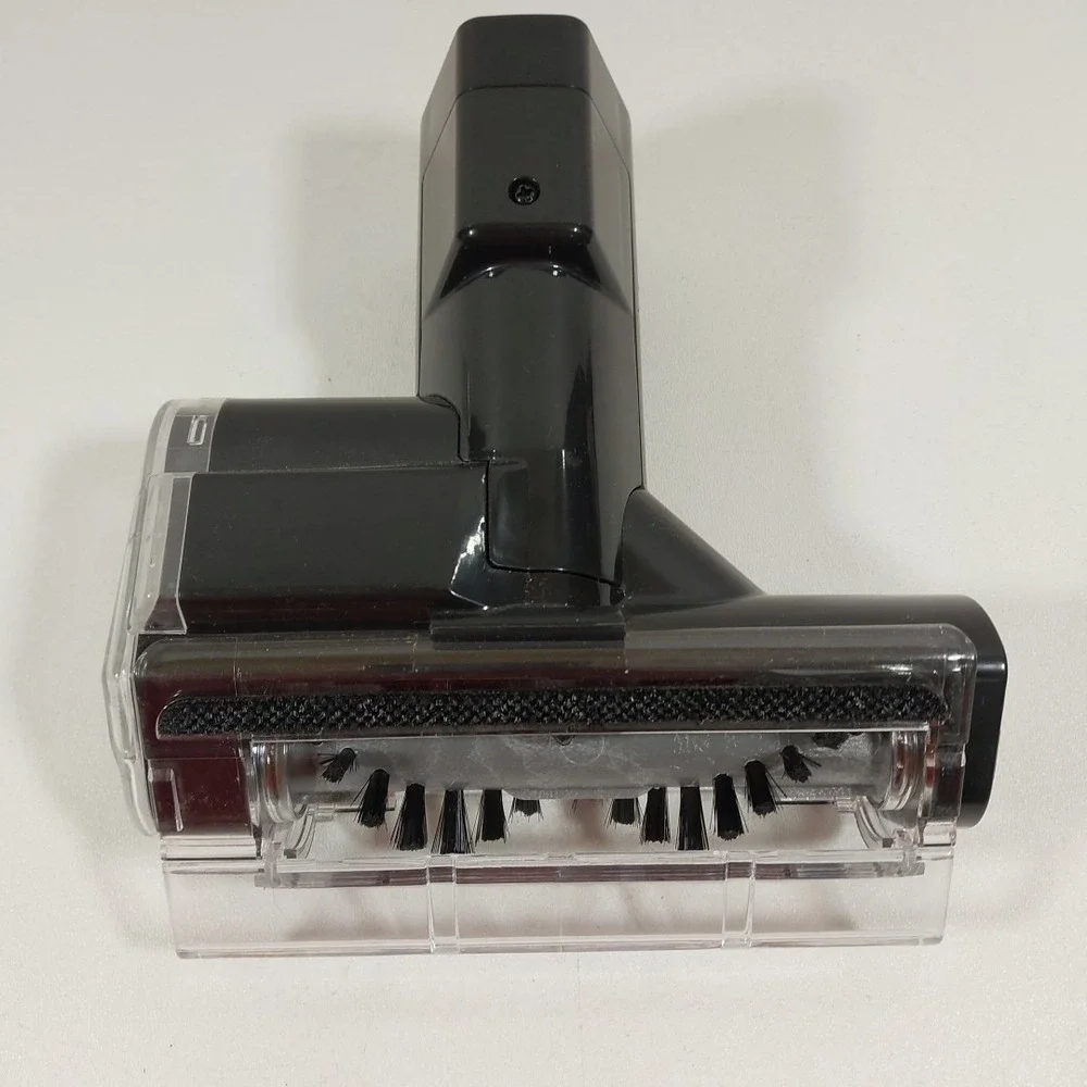 Shark we always