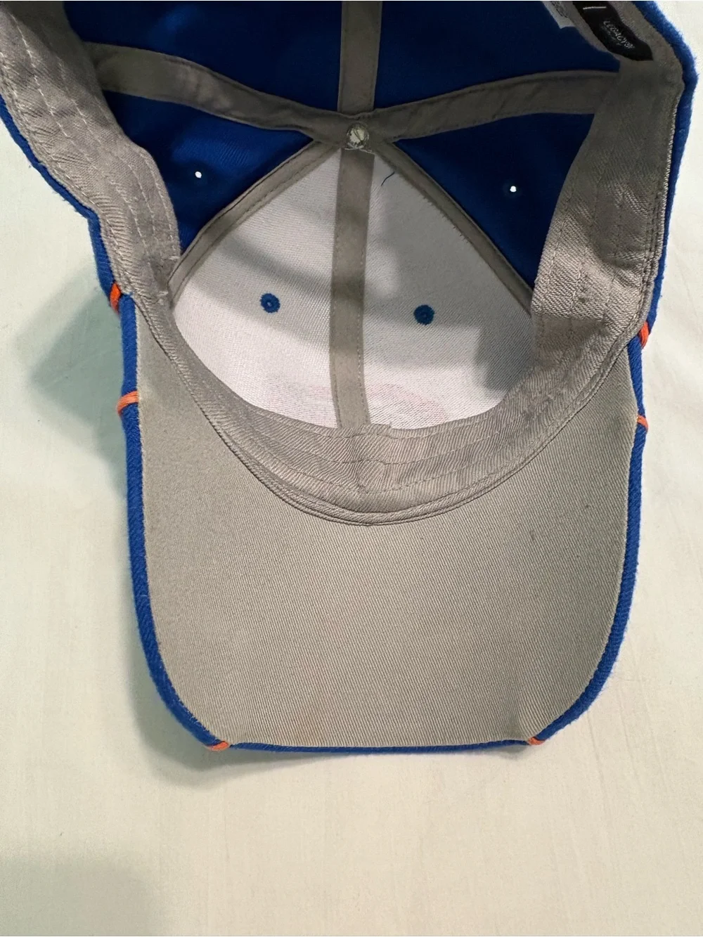 Nike Drifit University of Florida hat/ cap Gators