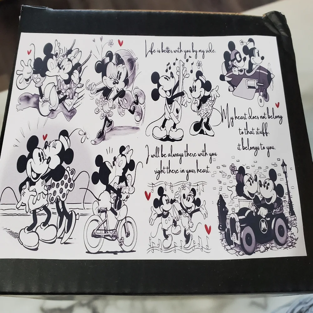 Artisan mickey minnie
