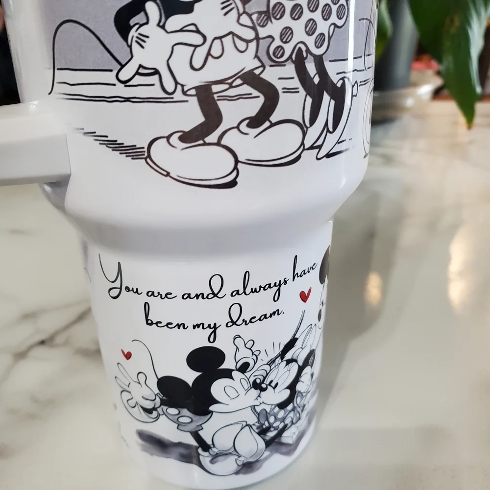 Artisan mickey minnie