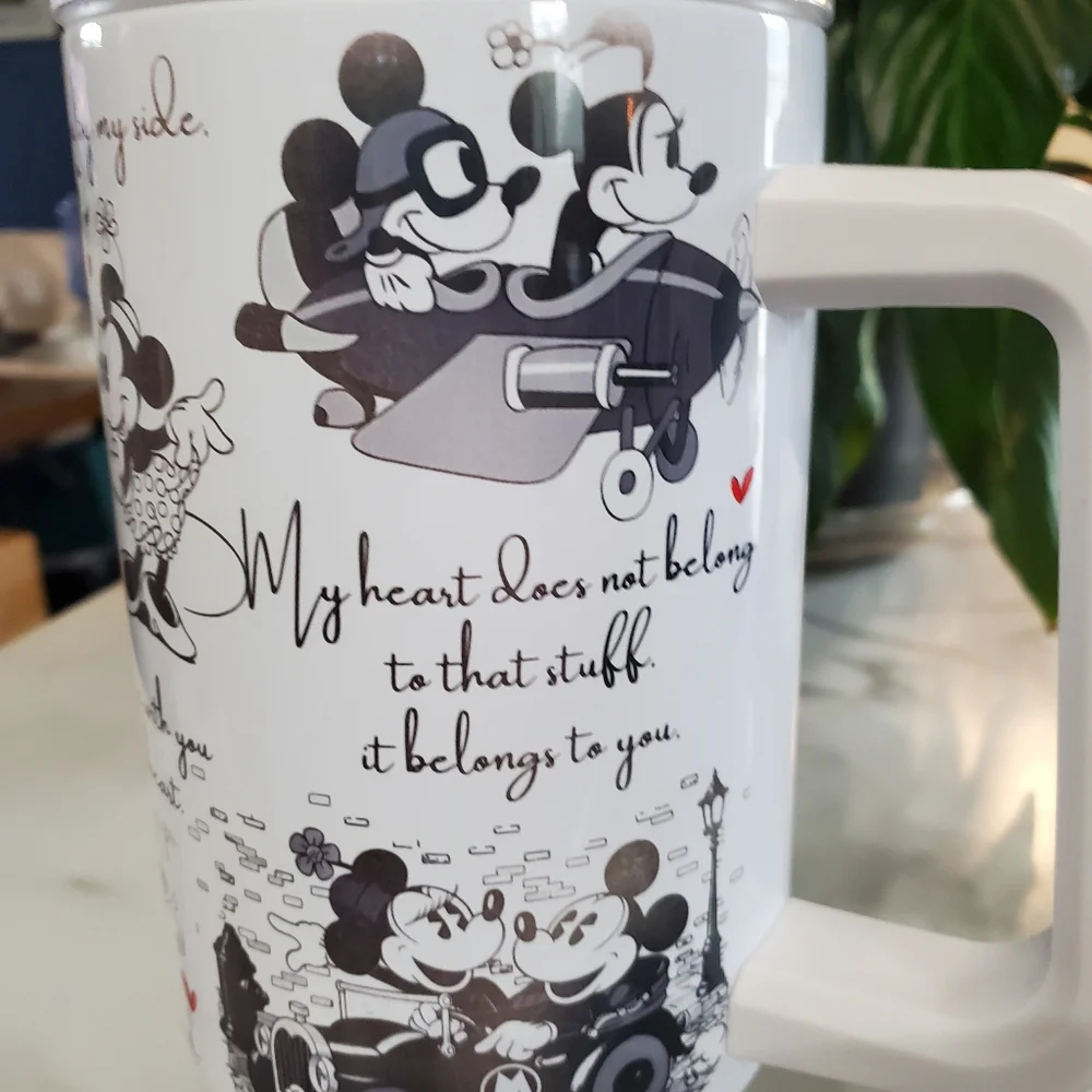 Artisan mickey minnie