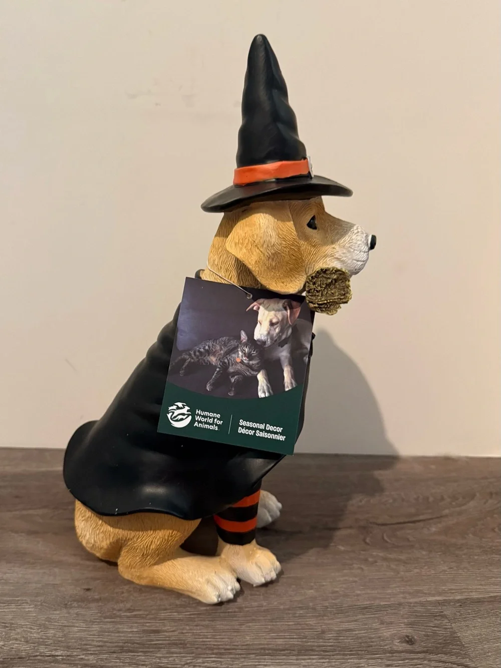 Humane Society charming halloween