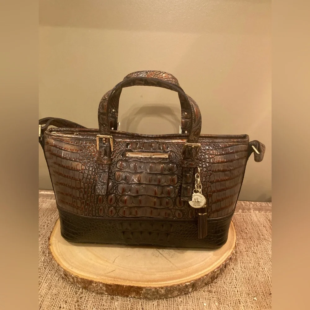 Brahmin elevate your