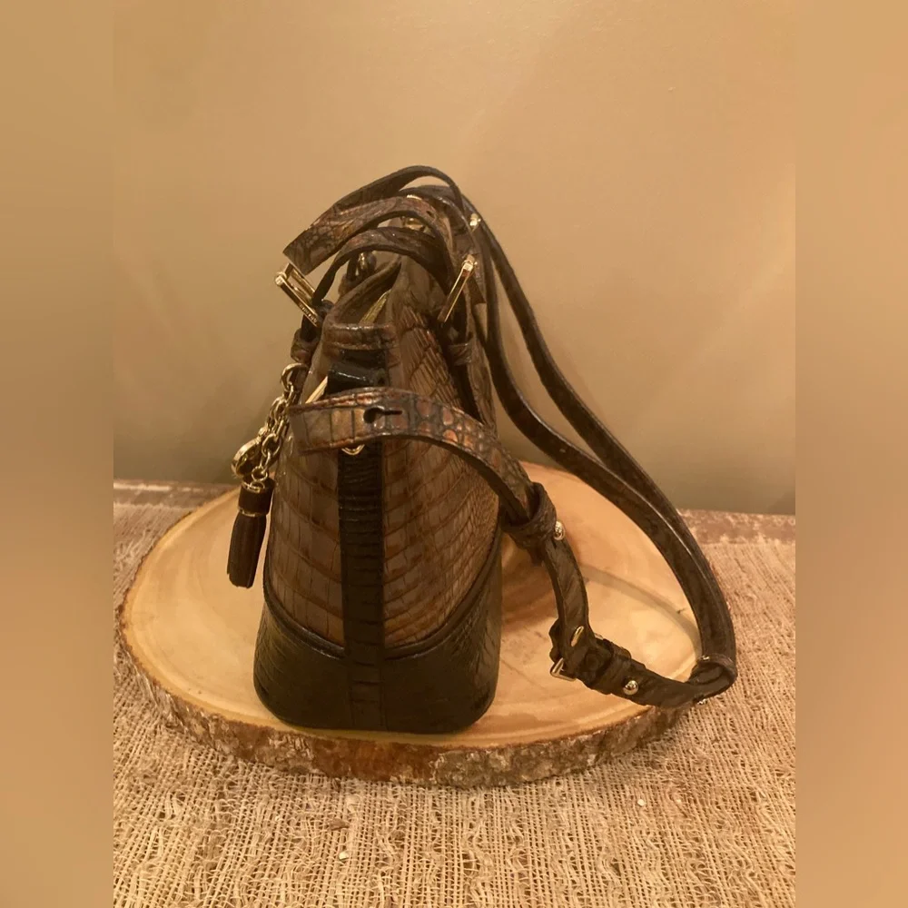 Brahmin elevate your
