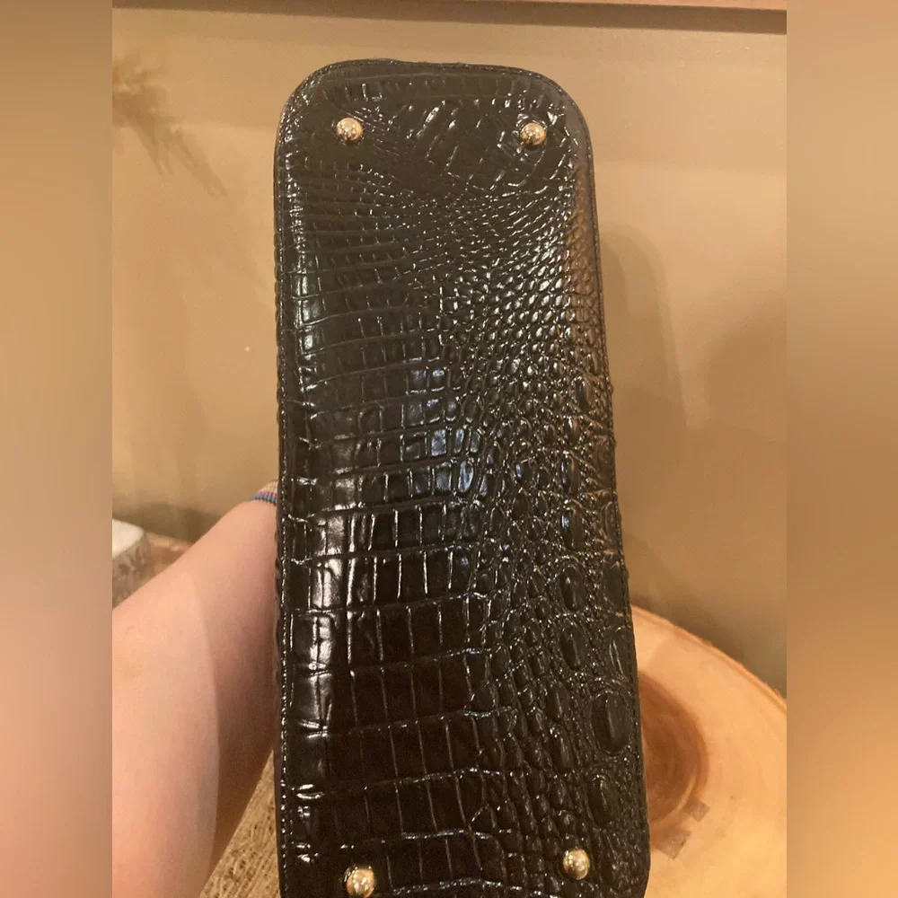 Brahmin elevate your