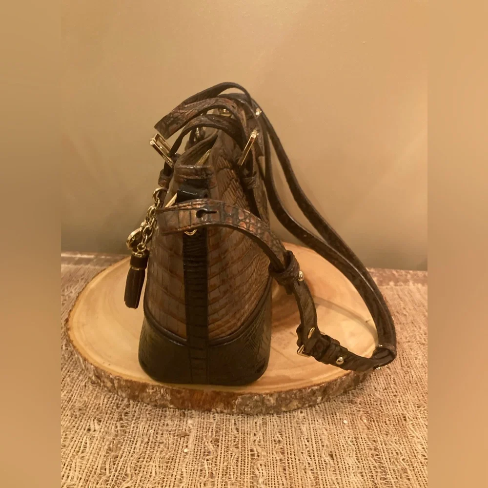Brahmin elevate your