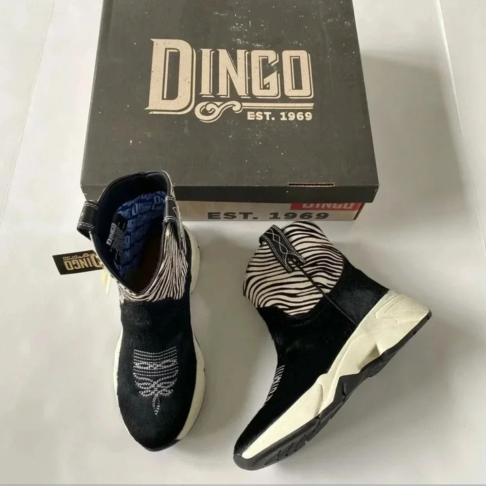 dingo new box