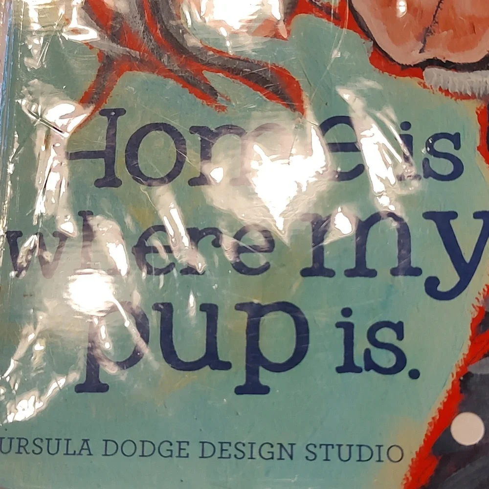 Ursula Dodge text below