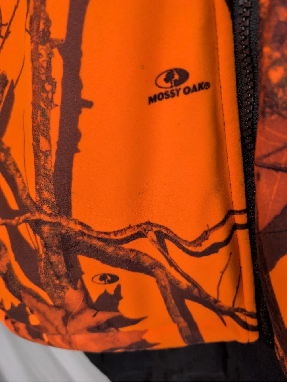 Gander Mountain this gander