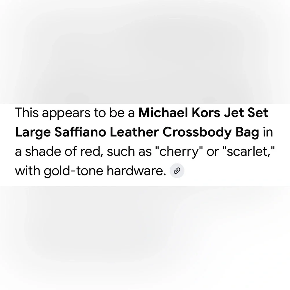 Michael Kors elegant michael