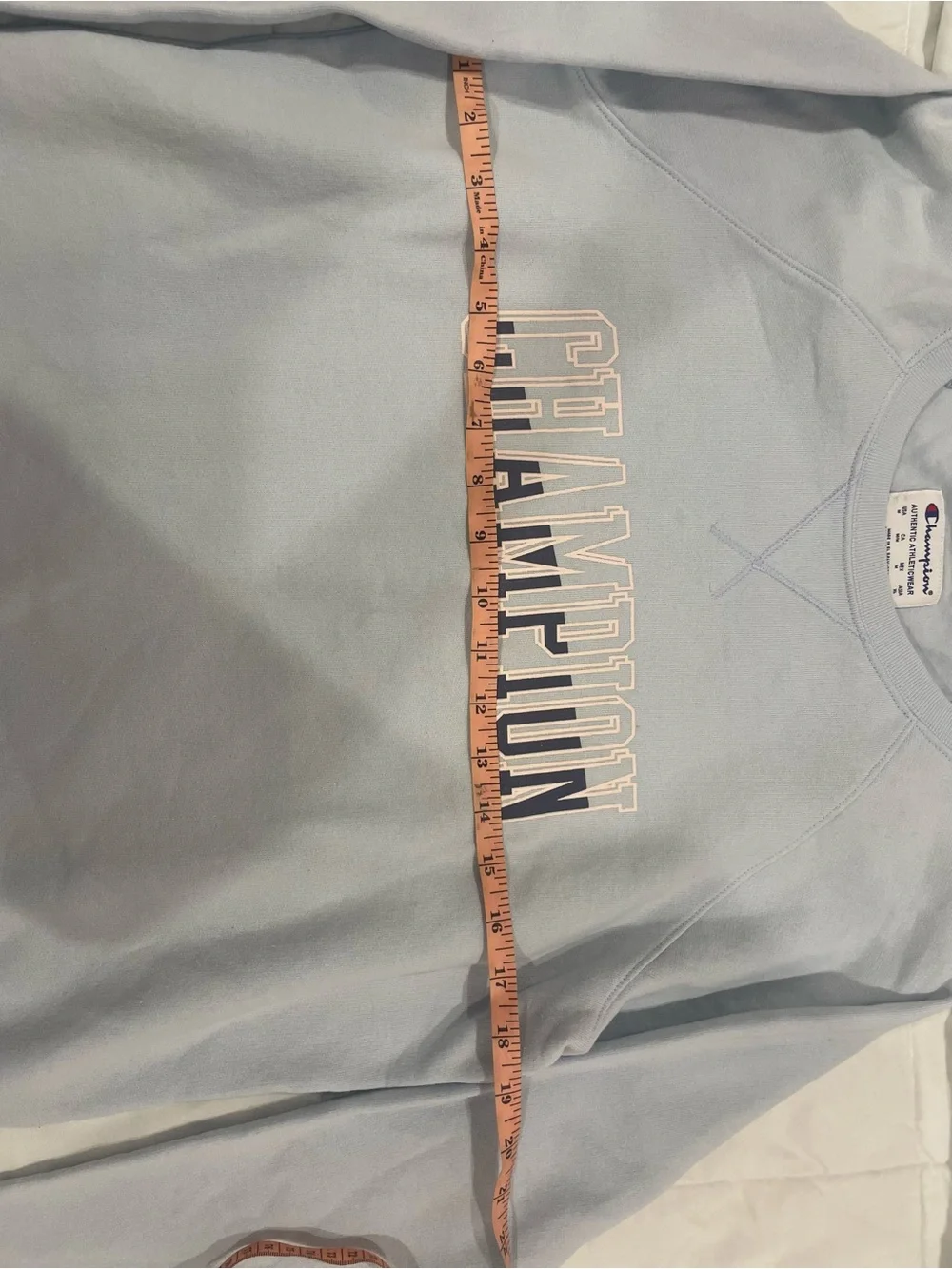 Champion Light Blue Crewneck Sweatshirt with Logo