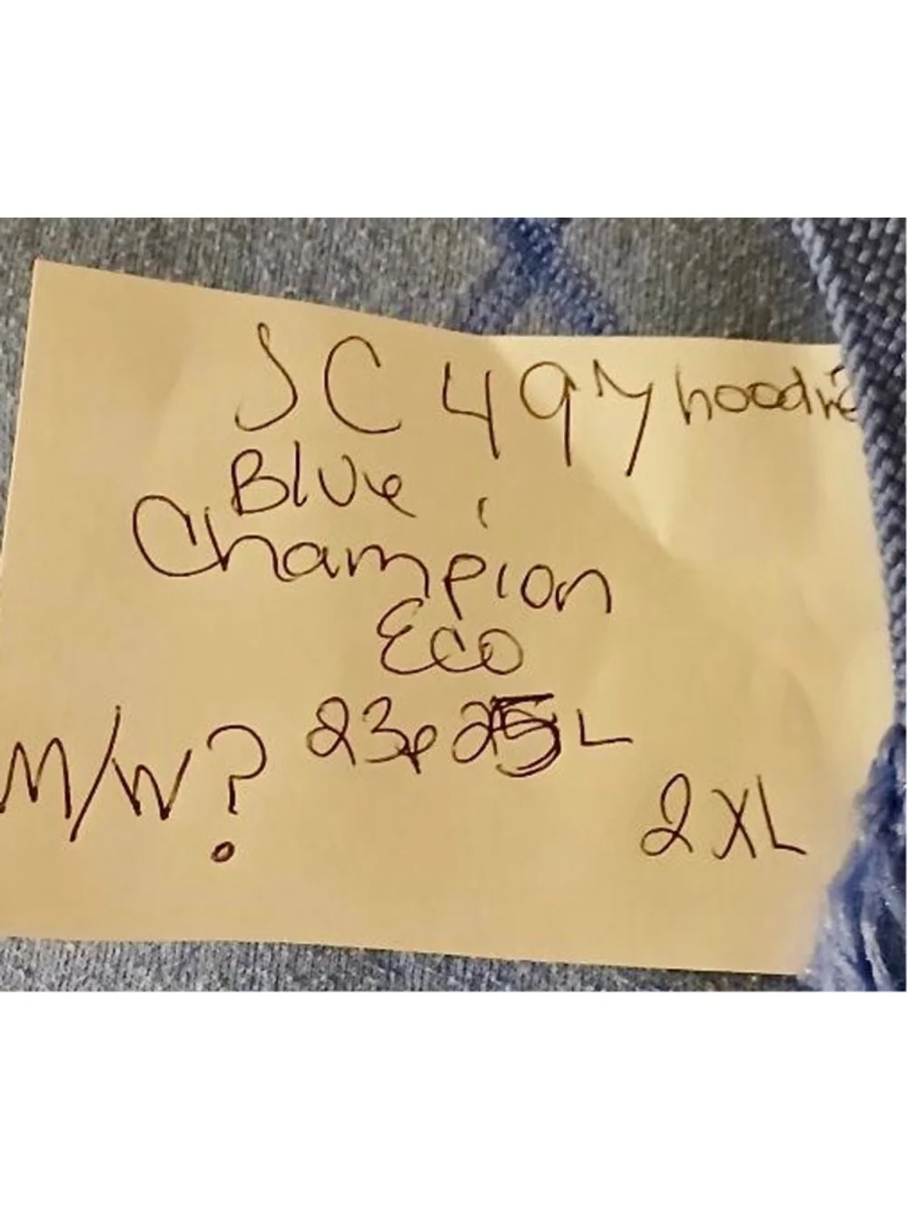 Champion authentic eco