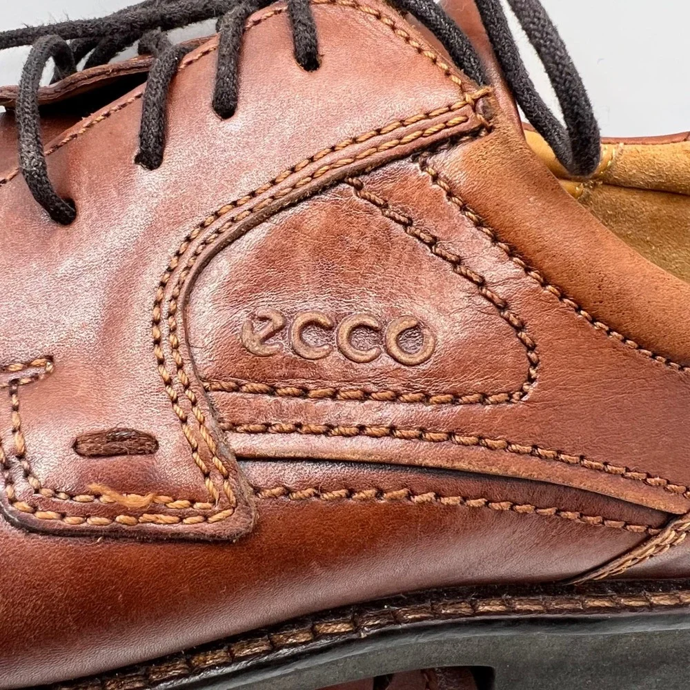 Ecco elevate your