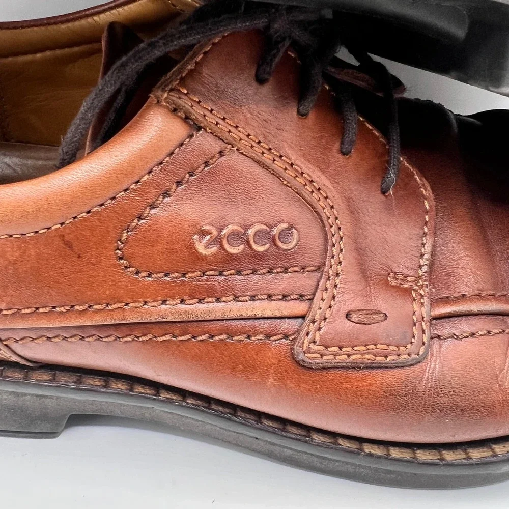 Ecco elevate your