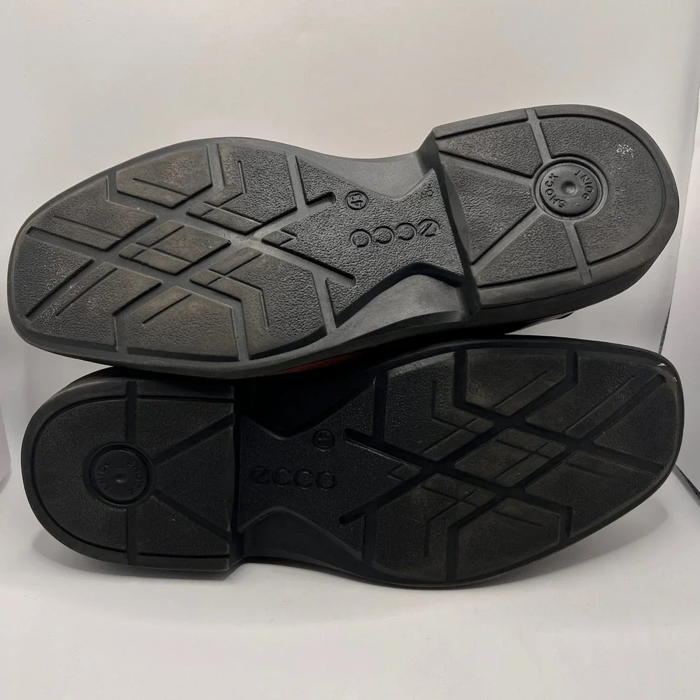 Ecco elevate your