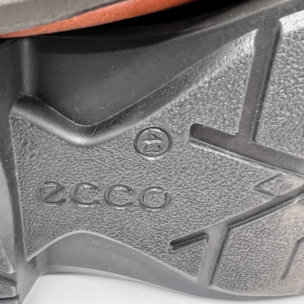 Ecco elevate your
