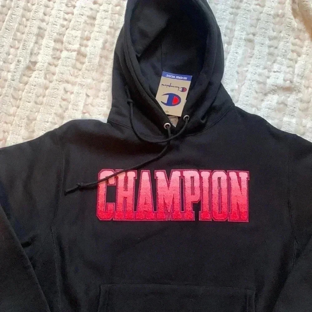 N/A champion sweaters