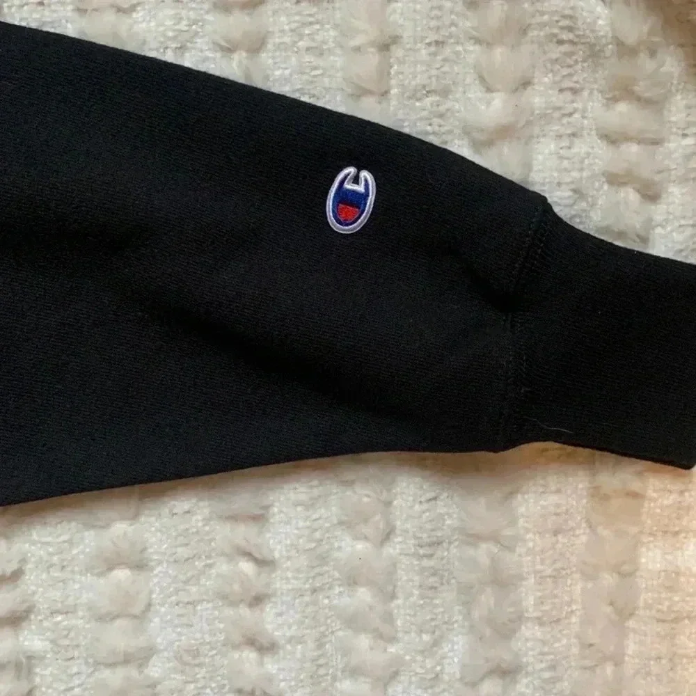 N/A champion sweaters
