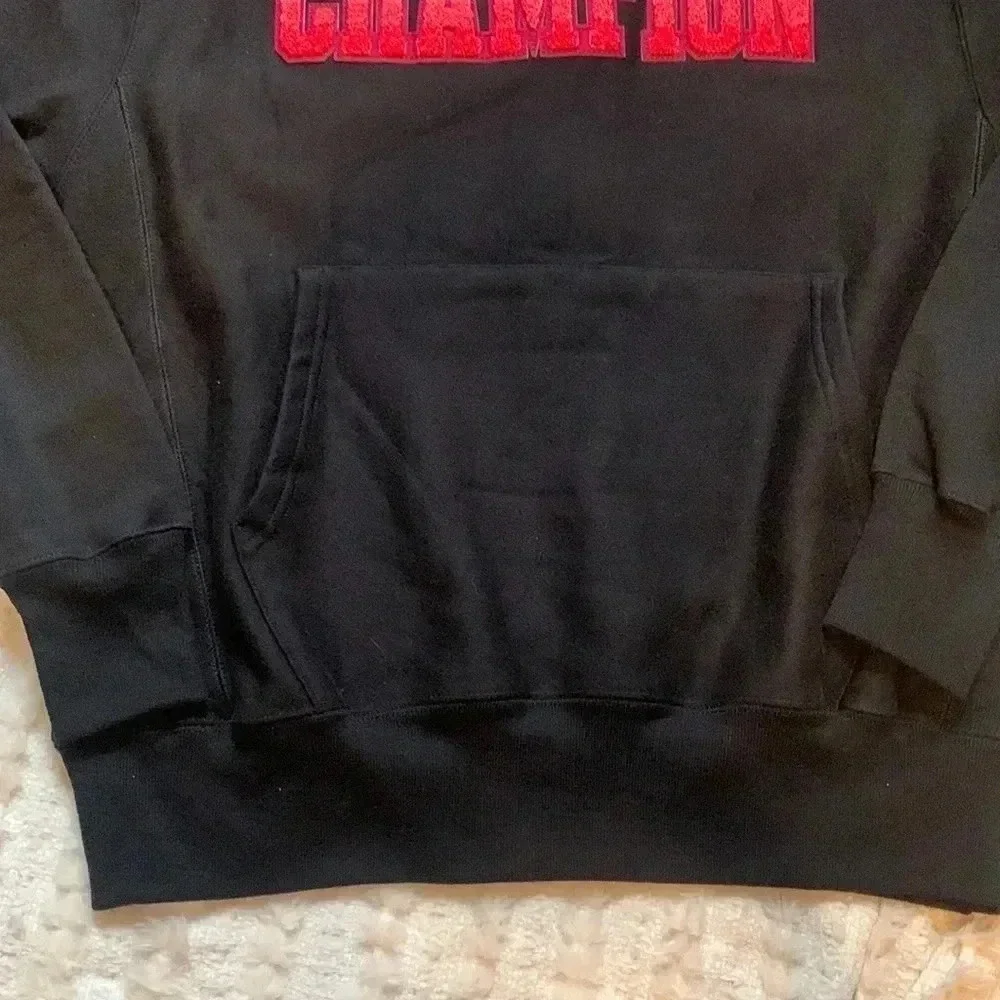 N/A champion sweaters