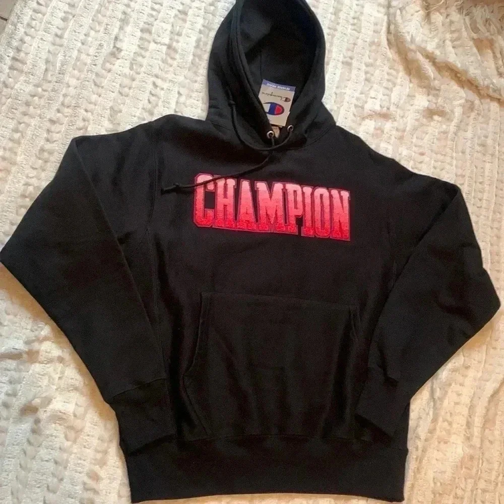 N/A champion sweaters