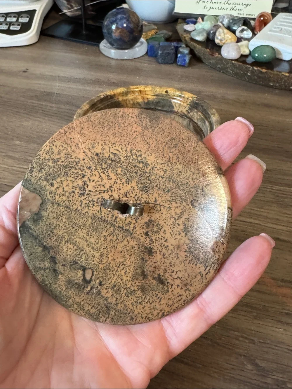 N/A picture jasper