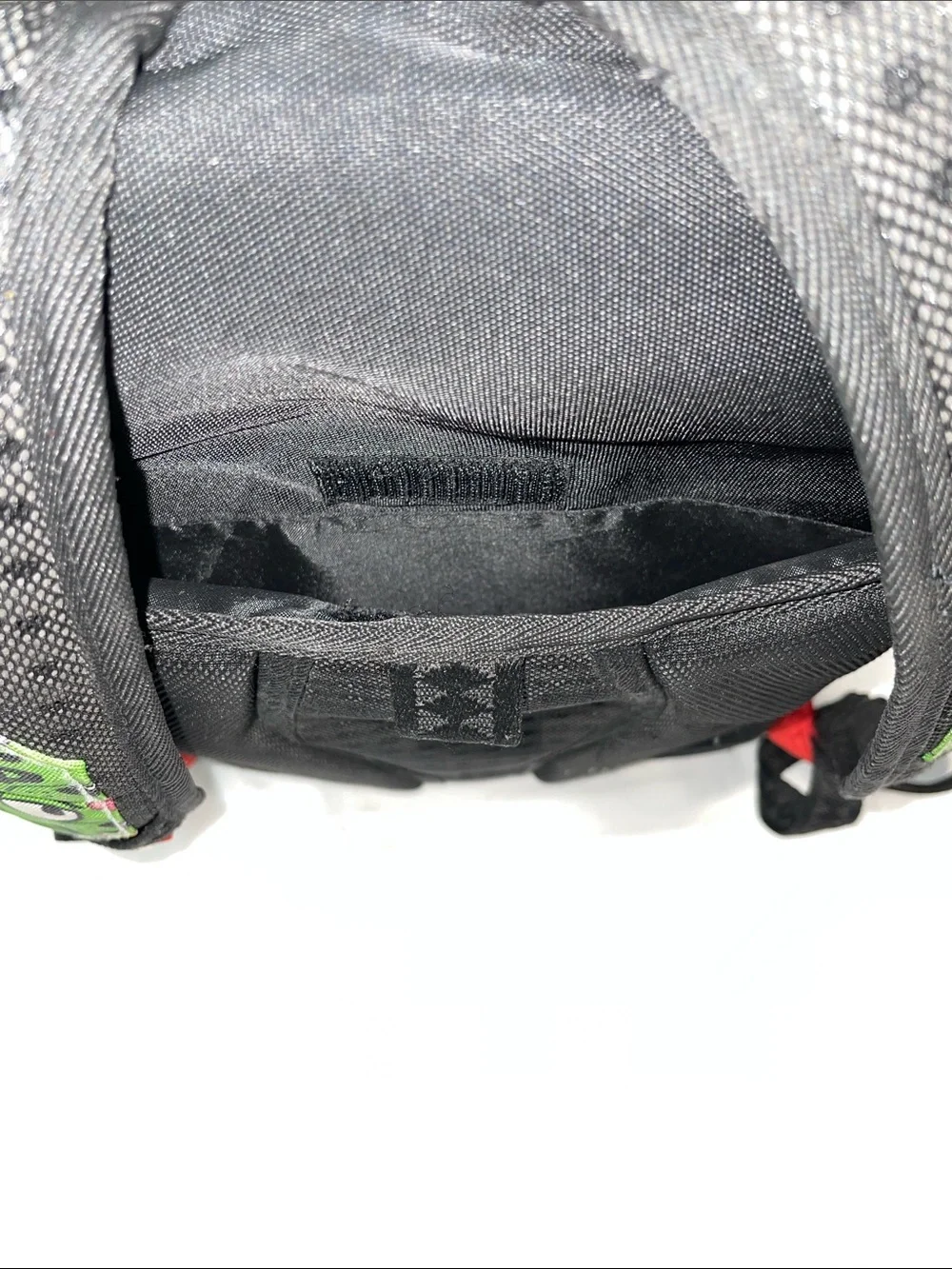 Sprayground money bear
